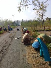 Rutin Kerja Bakti Setiap Hari Minggu